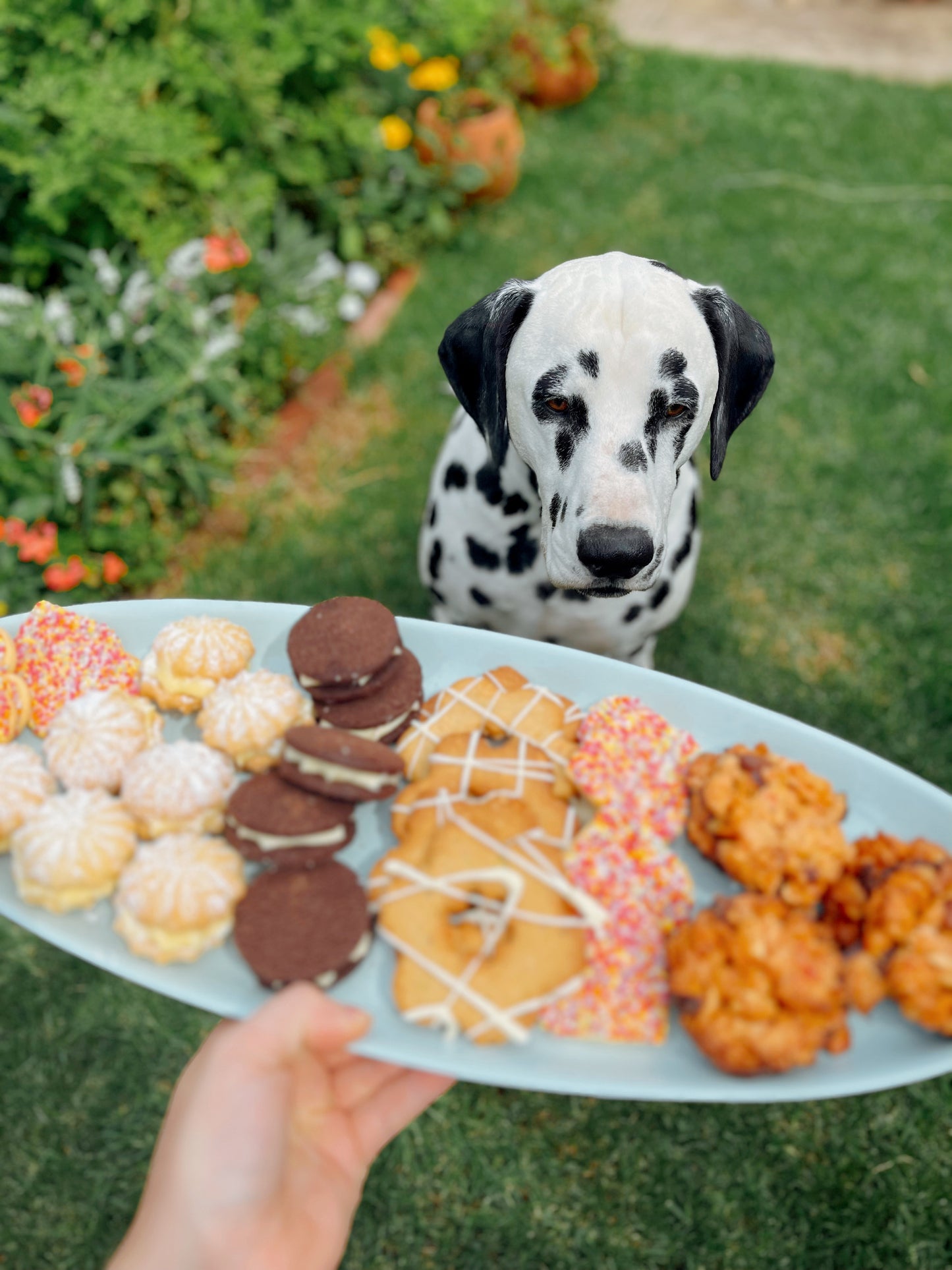 100’s & 1000’s Biscuits 150gm
